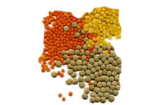 ROŚLINY STRĄCZKOWE , SOJA